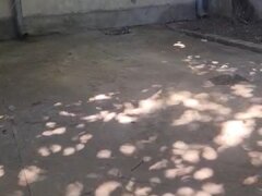 Traian de vanzare casa la curte